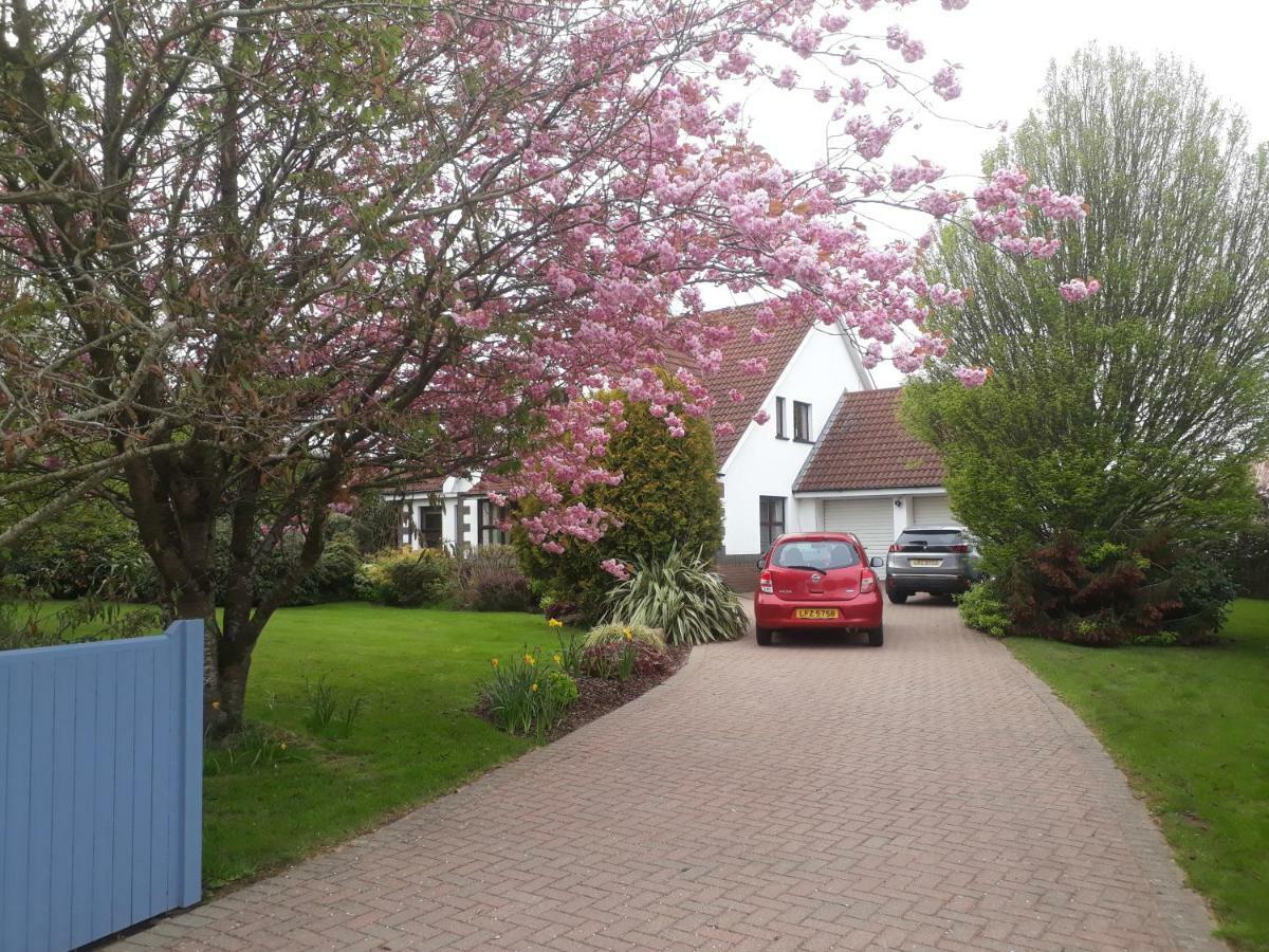 Castlerock Road Bed And Breakfast Coleraine Exterior photo